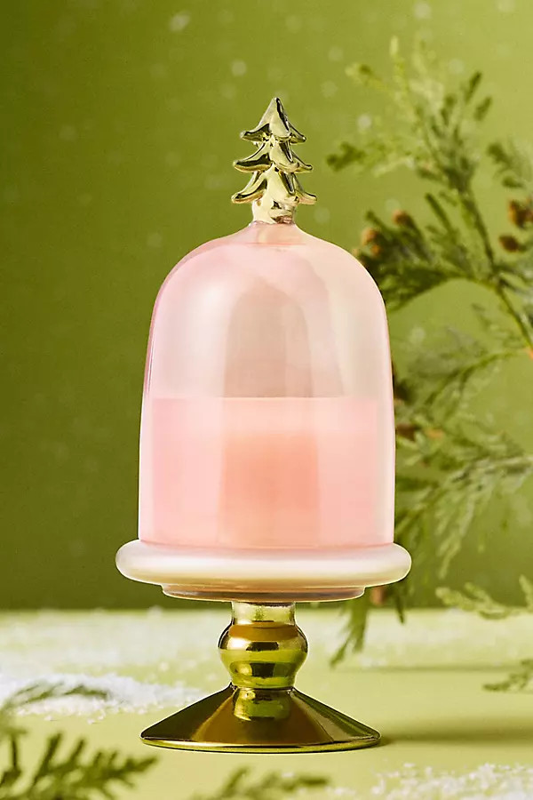 Christmas Tree Woody Crisp Cedar Glass Cloche Candle | Anthropologie (US)