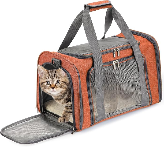 Mr. Pen- Pet Carrier, 17.5" x 11.2" x 11.5", Medium Size, Orange, Portable Travel Carrier for Sma... | Amazon (US)