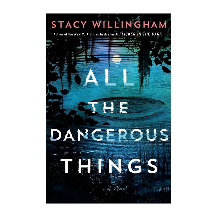 All the Dangerous Things - by  Stacy Willingham (Hardcover) | Target