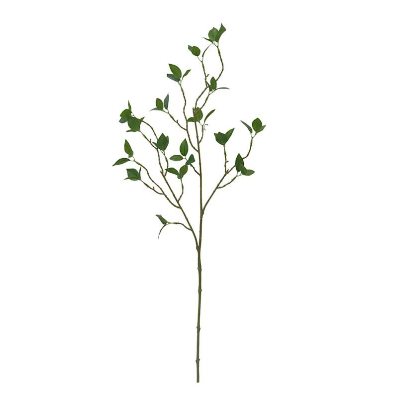 Watercress Leaves Stem, 30" | At Home