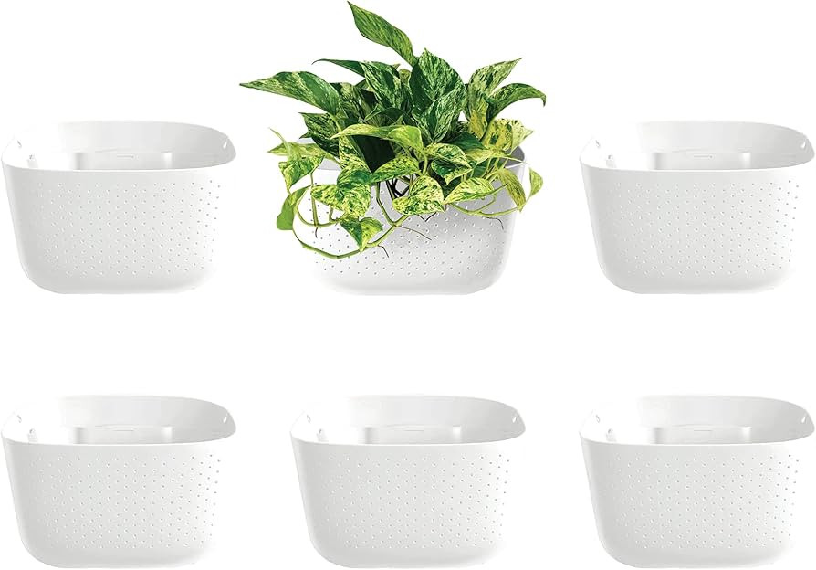 WallyGrow Eco Wall Planter, Create a Plant Wall with Hanging Planters for Indoor or Outdoor Use (... | Amazon (US)