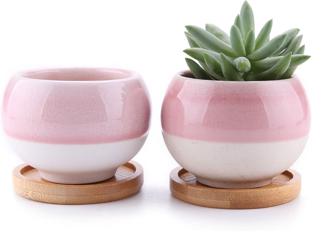 T4U 3 Inch Succulent Pots, Pink Planters Set of 2, Ceramic Cactus Planters with Drainage Bamboo T... | Amazon (US)