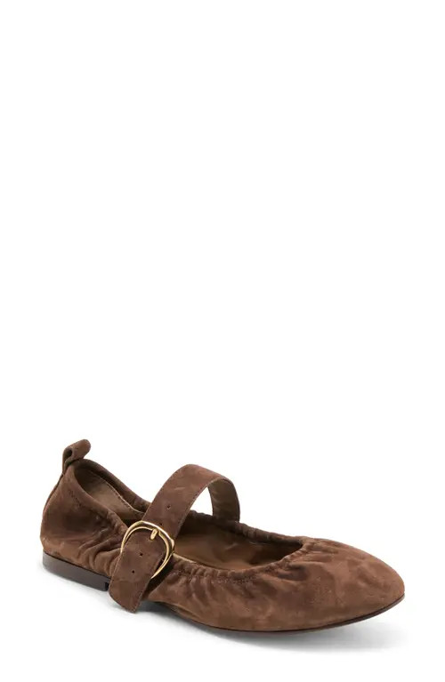 Dolce Vita Caely Mary Jane Flat in Dk Brown Suede at Nordstrom, Size 5 | Nordstrom