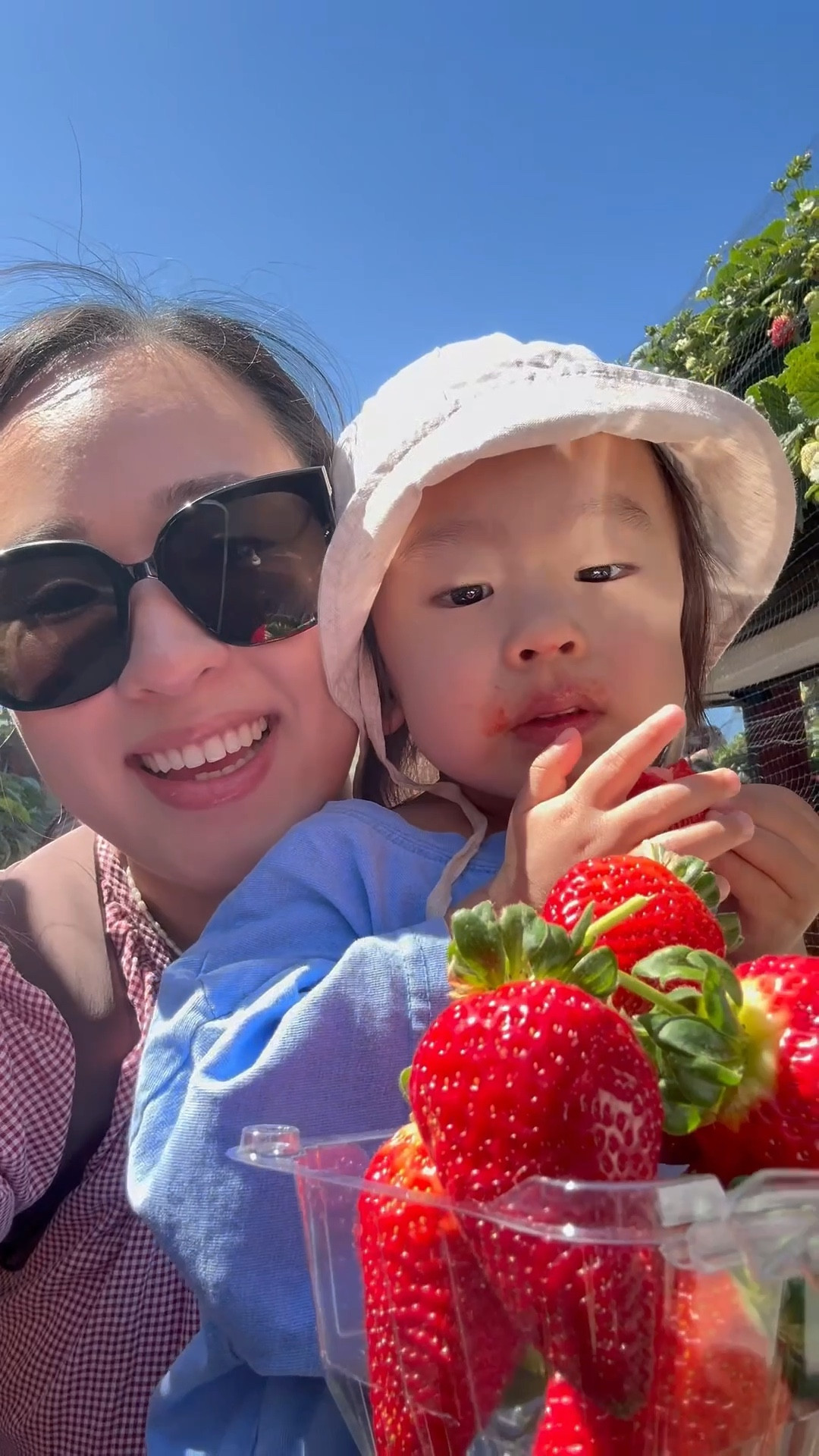 I went strawberry picking yesterday with the family and here’s how I did my makeup! 🍓

#LTKWatchNow #LTKBeauty