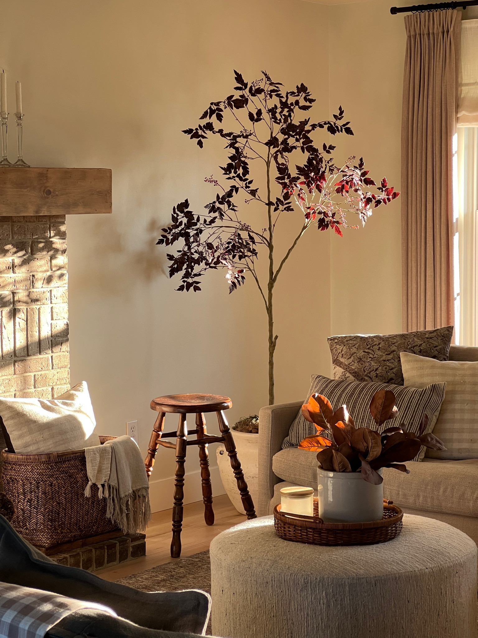Fall Living room inspo
Fall tree
afloral stems
Amber interiors
Fall stems

#LTKunder100 #LTKhome
