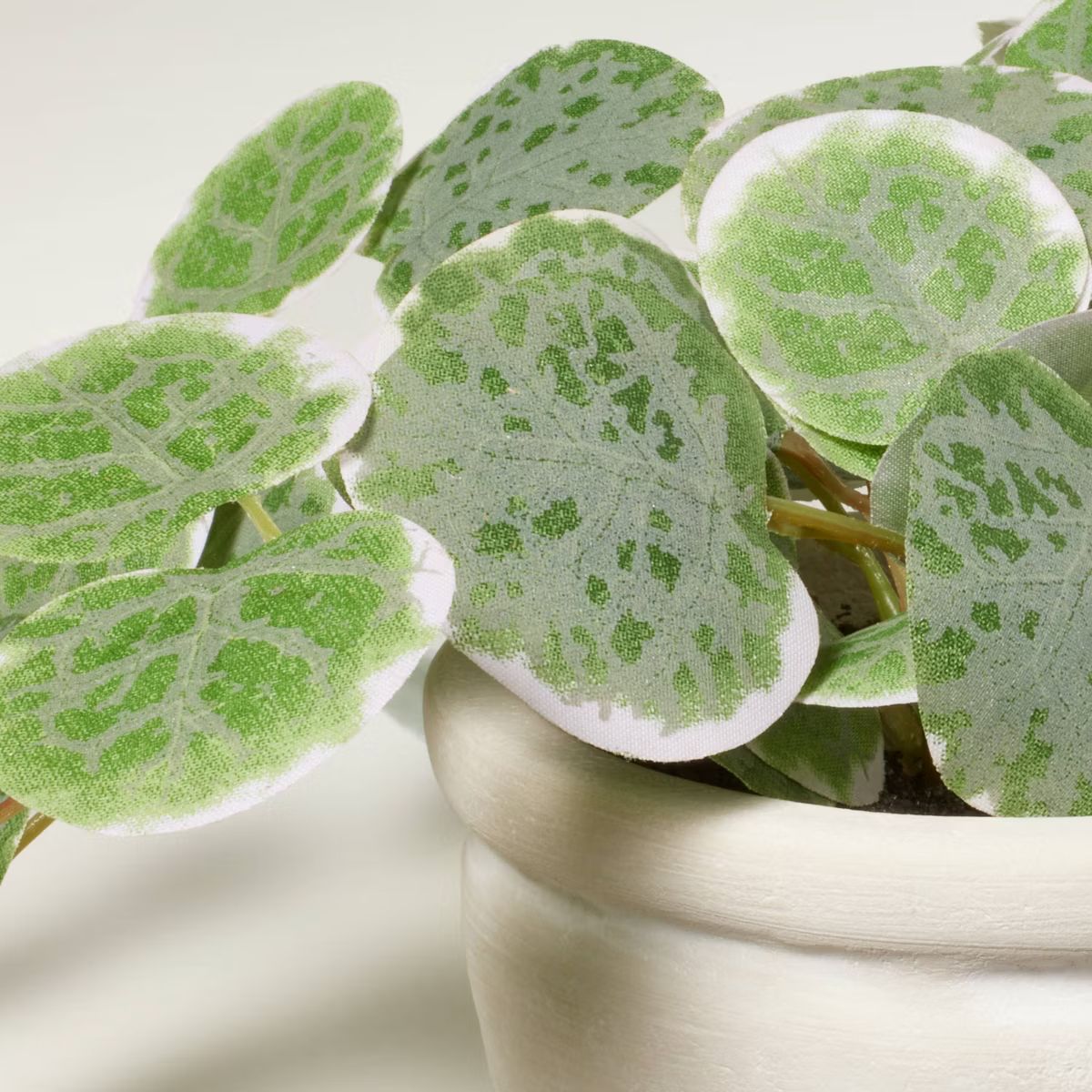 7.5" Mini Faux Variegated String of Hearts Plant - Hearth & Hand™ with Magnolia | Target