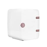 Finishing Touch Flawless Mini Beauty Cooler for Makeup and Skincare, 4 Liter | Amazon (US)