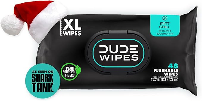 DUDE Wipes - Flushable Wipes Stocking Stuffers - 1 Pack, 48 Wipes - Mint Chill Extra-Large Adult ... | Amazon (US)
