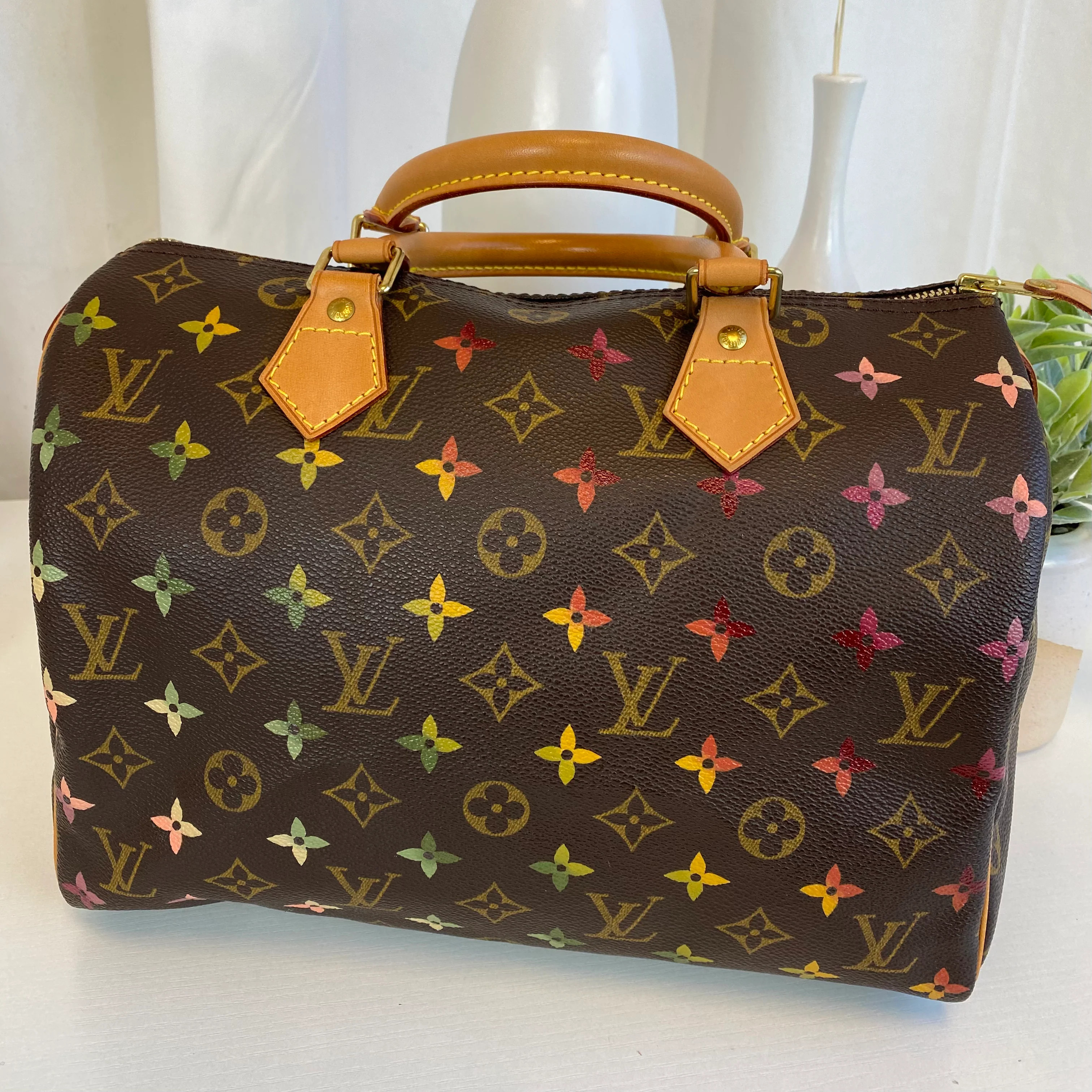 Custom Painted Louis Vuitton Speedy | New Vintage Handbags