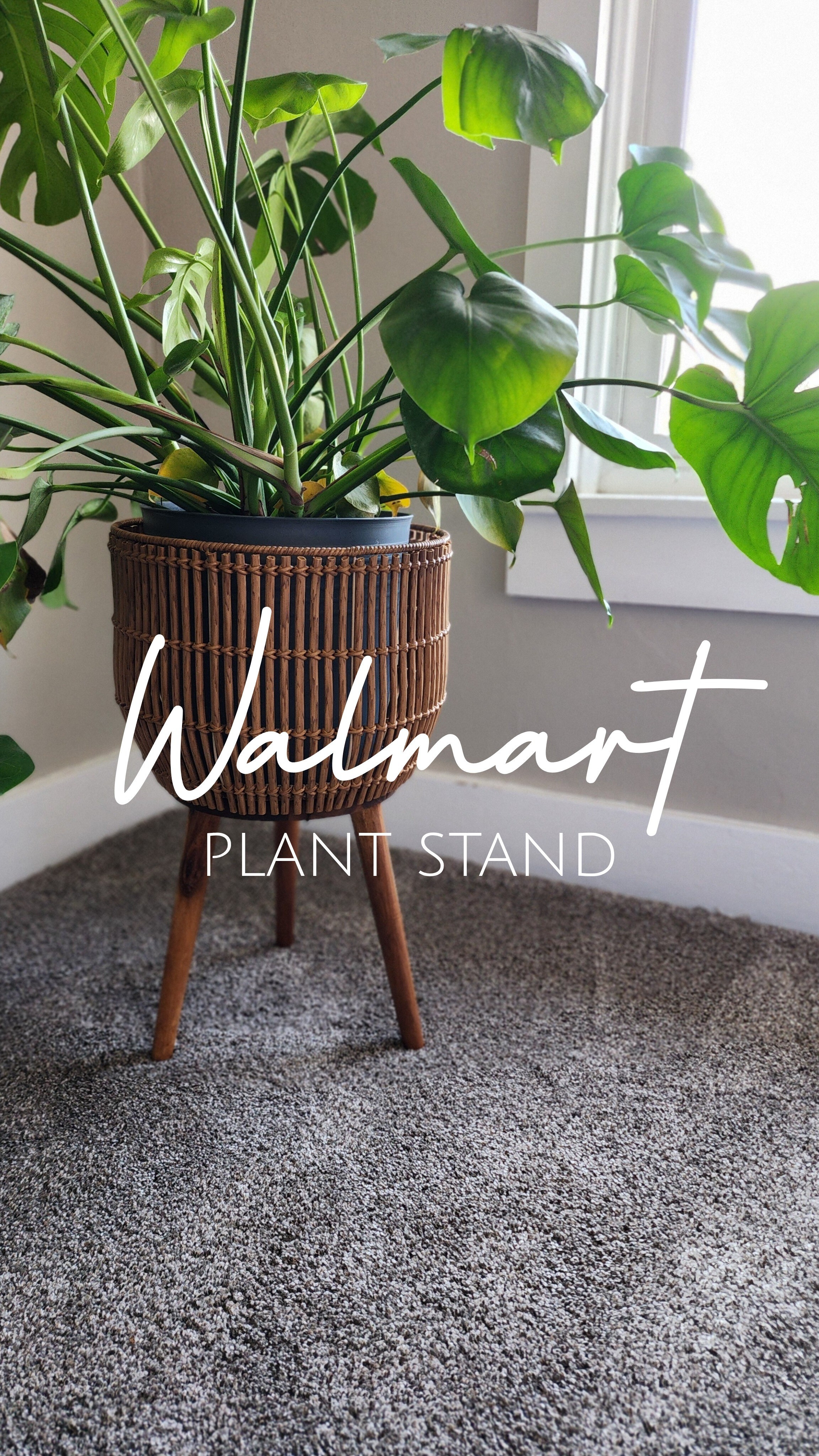 Rattan Plant stand from Walmart! 🌿 #betterhomes&gardens #walmartfinds #walmartspringfinds

#LTKFindsUnder50 #LTKHome
