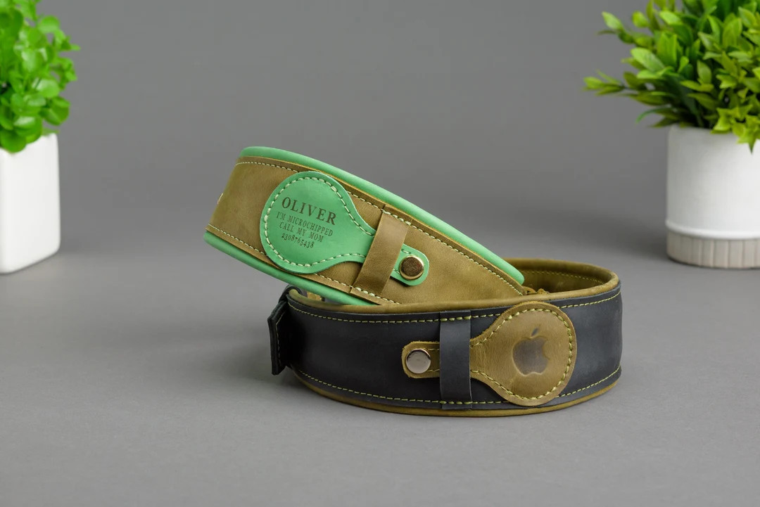 Leather Collar for Dog With AirTag Holder, Dog Collar Leather, Custom Dog Collar, Leather Dog Col... | Etsy (US)