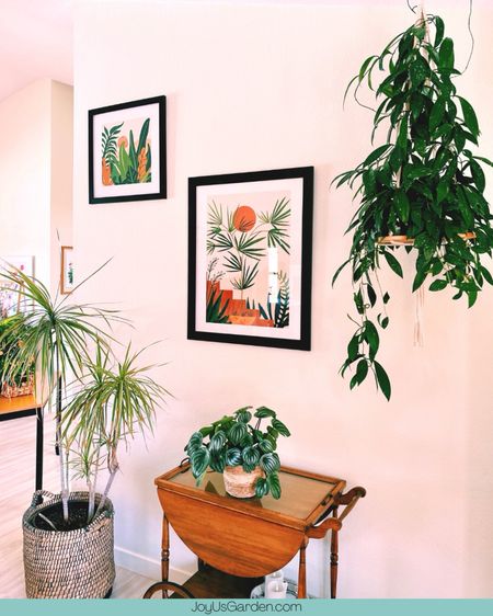 Art prints really add a pop of color to my living space and colors blend so well with my indoor plants the garden landscape of these prints is such a beauty to look at. #artprints #art #wallart #prints #artwork #artist #illustration #homedecor #artprint #artprintsforsale #interiordesign #design #walldecor #printsforsale #interiordesign #home #interior #decor #design #homedesign #decoration #interiors #homedecoration #LTKunder100

#LTKhome #LTKfindsunder50 #LTKfindsunder100