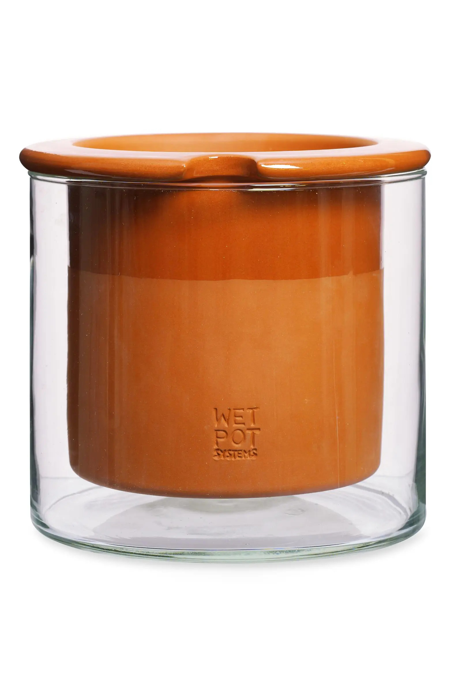 MoMA Design Store Self Watering Pot | Nordstrom | Nordstrom