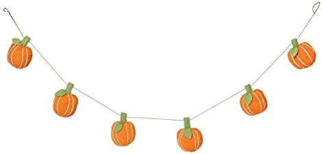 De Kulture Handmade Premium Wool Felt Pumpkin Garland Eco Friendly Halloween Wall Hanging Home Offic | Amazon (US)