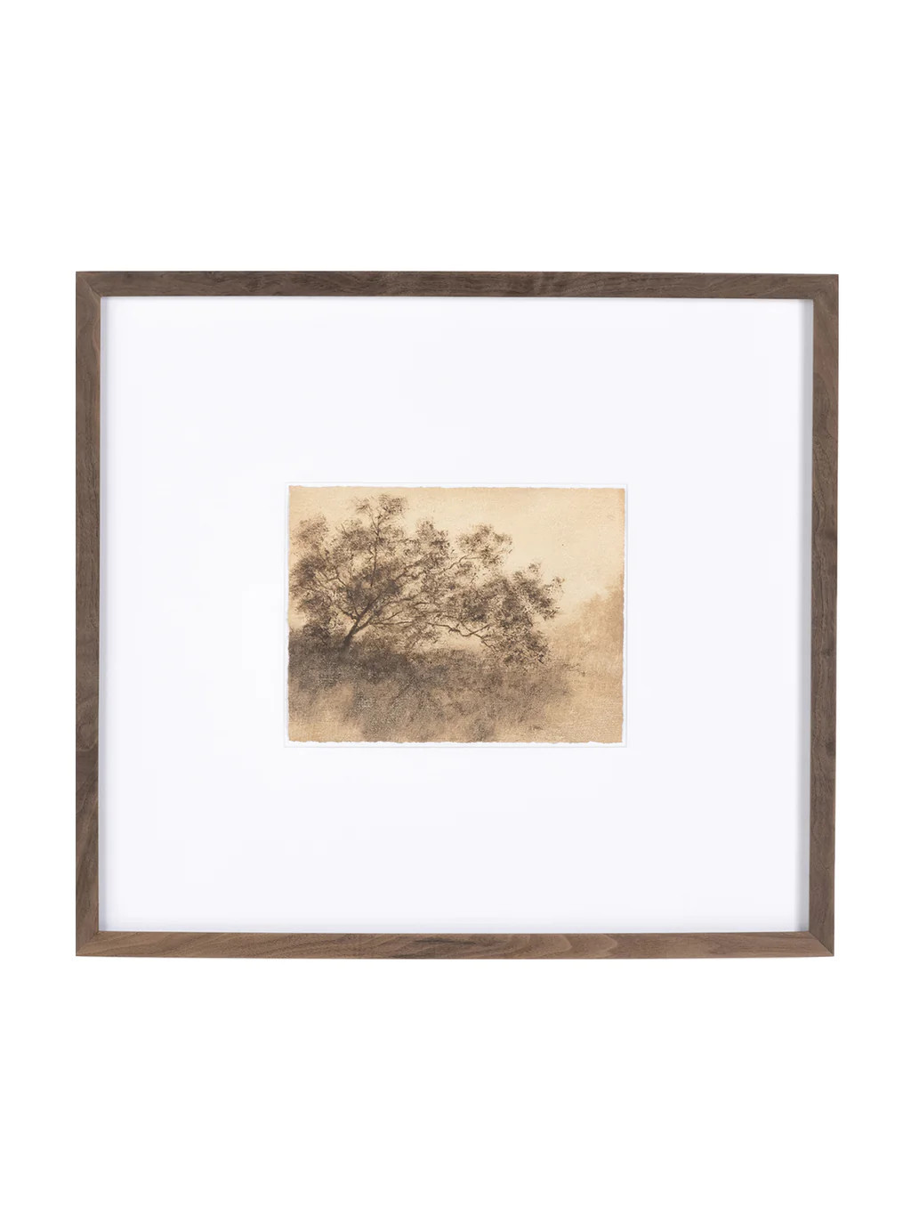 Savanna II | House of Jade Home