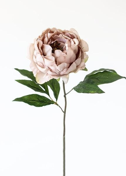 Silk Flower Peony in Taupe Mauve - 18" Tall | Afloral (US)