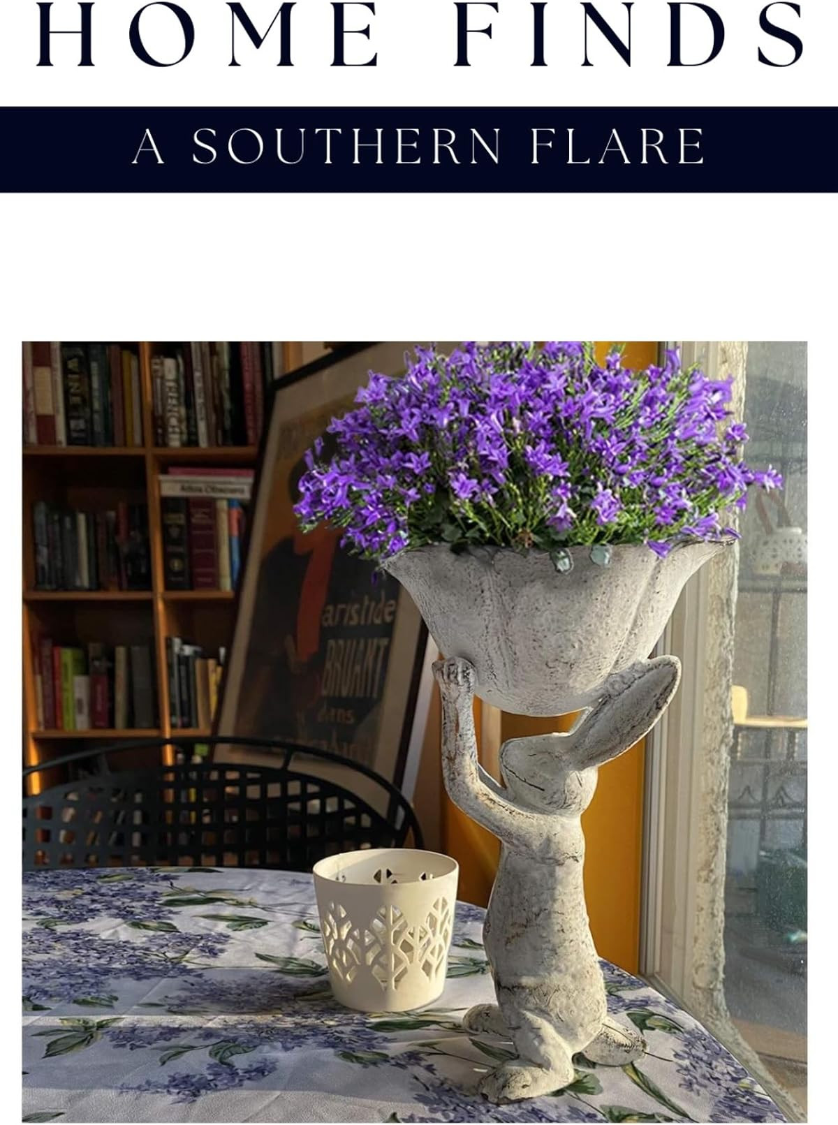 Amazon  | Amazon (US)