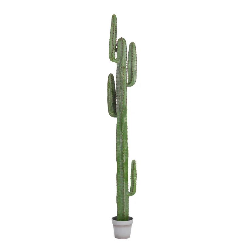 Faux Cactus Plant in Pot Liner | Wayfair North America