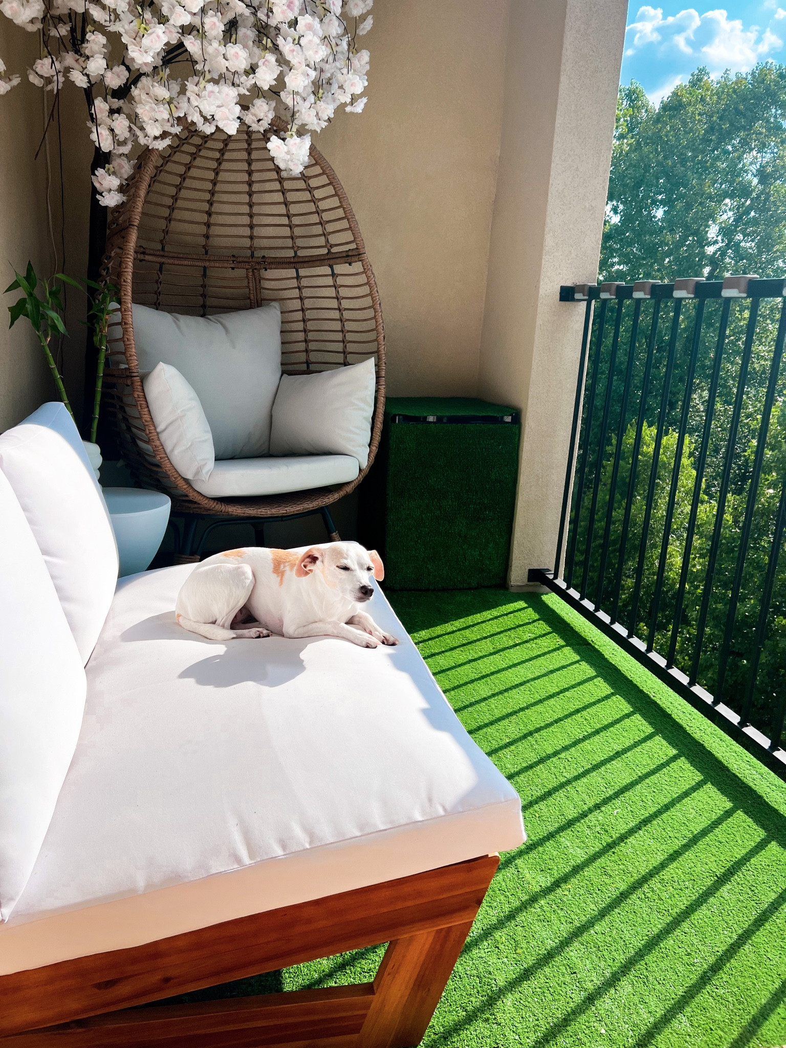 Apartment balcony from Wayfair 
#LTKfind
#smallapartment
#balcony

#LTKstyletip #LTKSeasonal #LTKhome