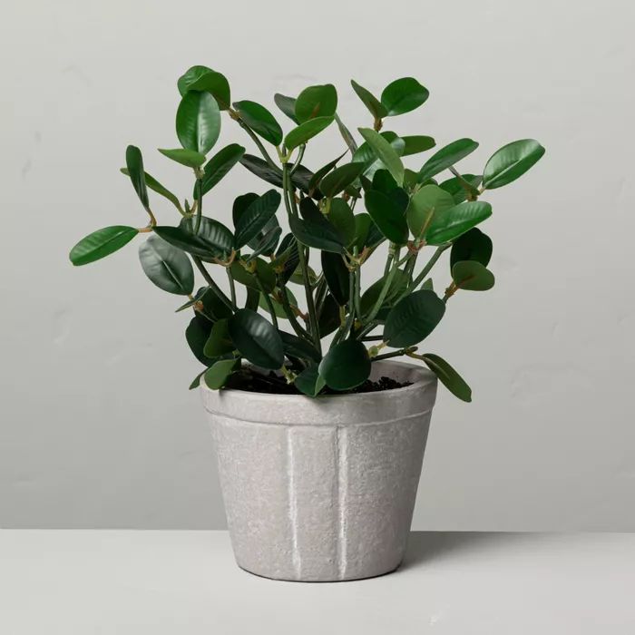 7.5" Mini Faux Bean Potted Plant - Hearth & Hand™ with Magnolia | Target