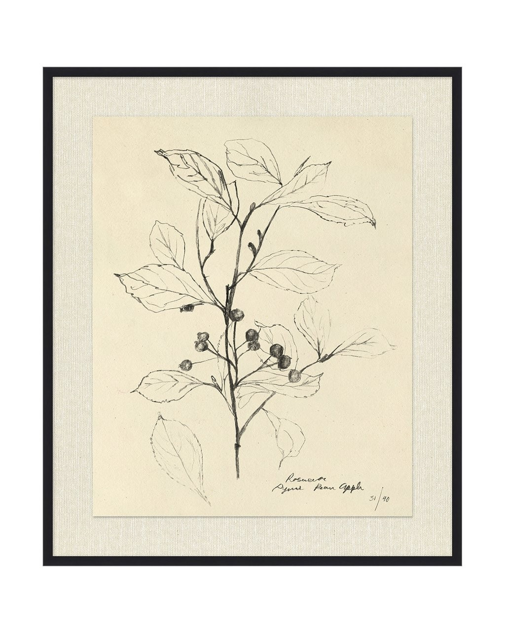 Floral Study 2 | McGee & Co.
