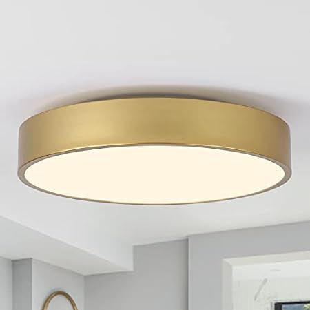 Brass Flush Mount led Ceiling Lights Buried Gold Round Bedroom Lights for Hallway Kitchen Living Roo | Amazon (US)