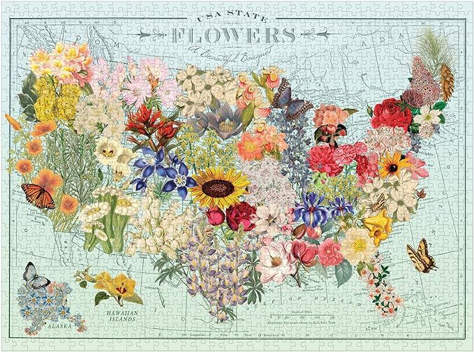 Galison Wendy Gold USA State Flowers Puzzle, 1,000 Pieces, 20” x 27” – Jigsaw Puzzle Featur... | Amazon (US)