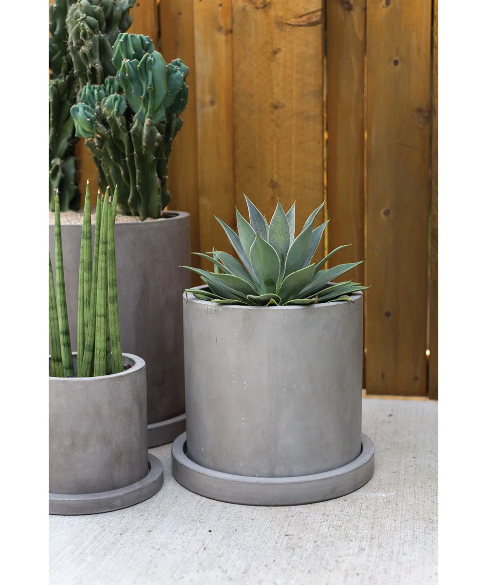 Lemont Pot Planter | Wayfair North America