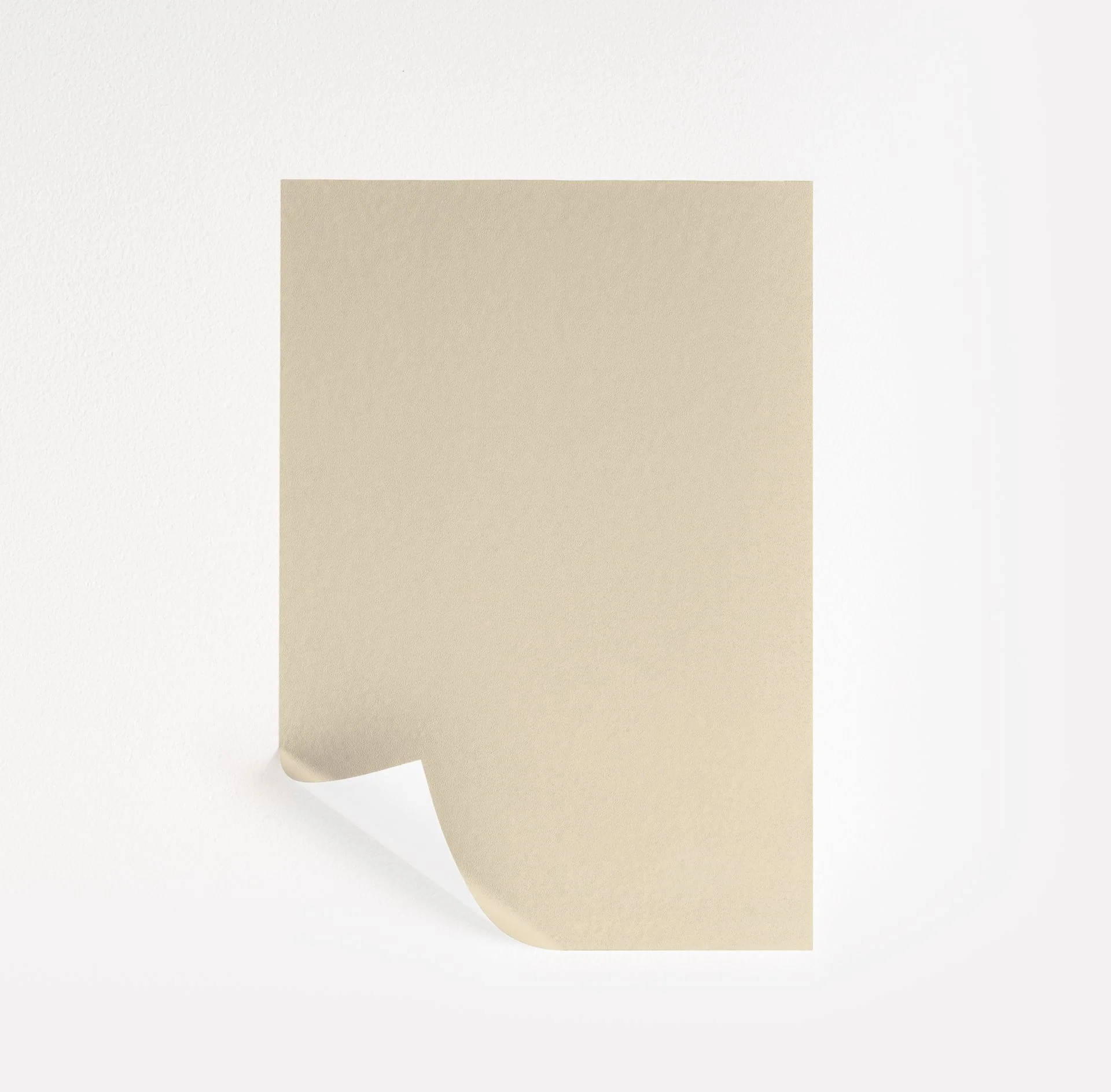 Deserted Island  Paint Sample | Samplize