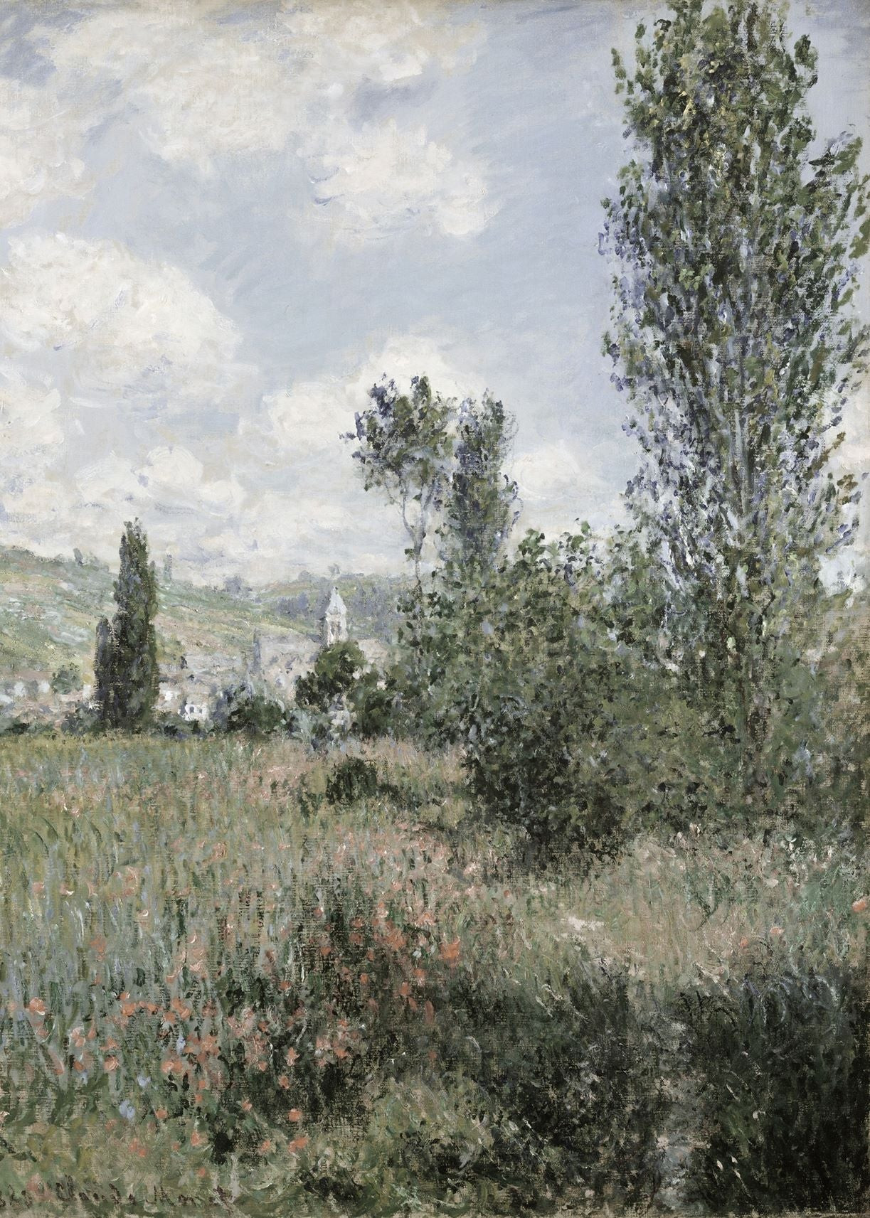 Poppy Field | Collection Prints