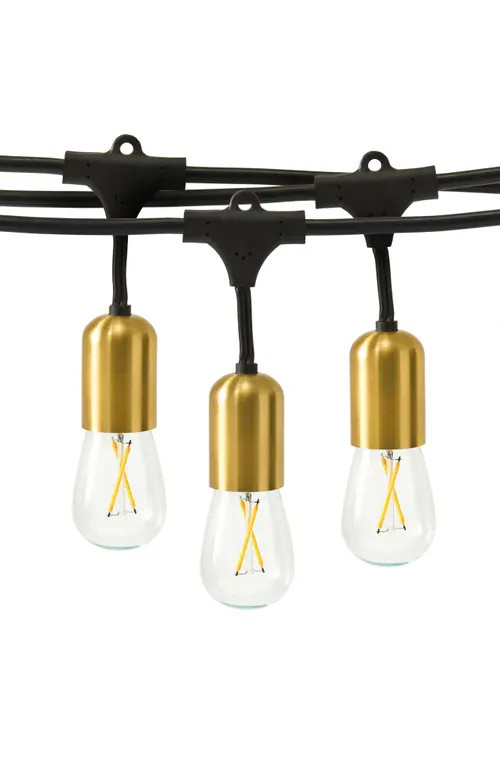 Brightech 48 ft, 15‑light Plug‑In Heavy Duty LED Outdoor String Lights, Gold Accent Brass Socket and Weatherproof Bulbs at Nordstrom | Nordstrom