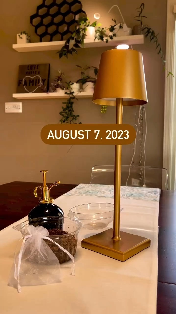 Hoya seeds are hard to come by, but if you are ever lucky enough to get some seeds, this is how I recommend setting things up for germination success. 

#LTKHome