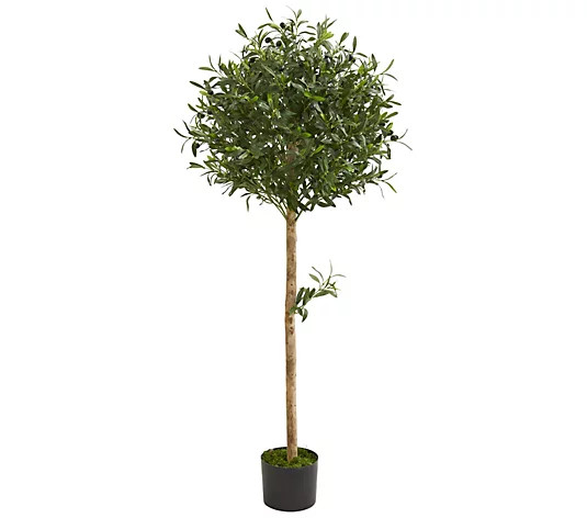 5' Olive Topiary Artificial Tree by Nearly Natural - QVC.com | QVC