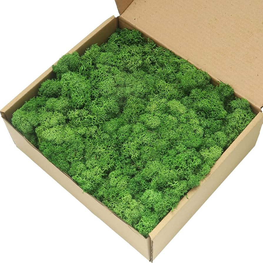 Kaveno Reindeer Moss Preserved, Green Moss for Fairy Gardens, Terrariums, Any Craft or Floral Pro... | Amazon (US)
