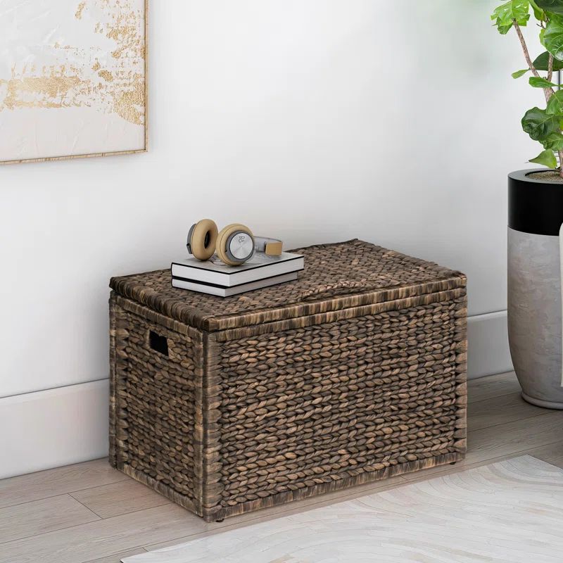 Ved Heavy-duty Water Hyacinth Wicker Storage Trunk with Metal Frame | Wayfair North America