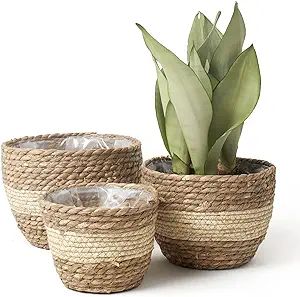 La Jolie Muse Seagrass Planter Basket Indoor Outdoor, Flower Pots Cover, Plant Containers, Beige,... | Amazon (US)