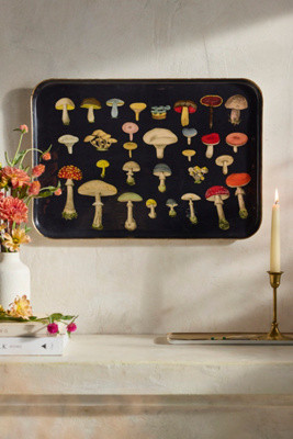 Printed Archival Tray, Extra Large | Terrain