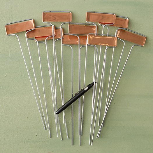 Copper Plant Markers, Horizontal | Terrain