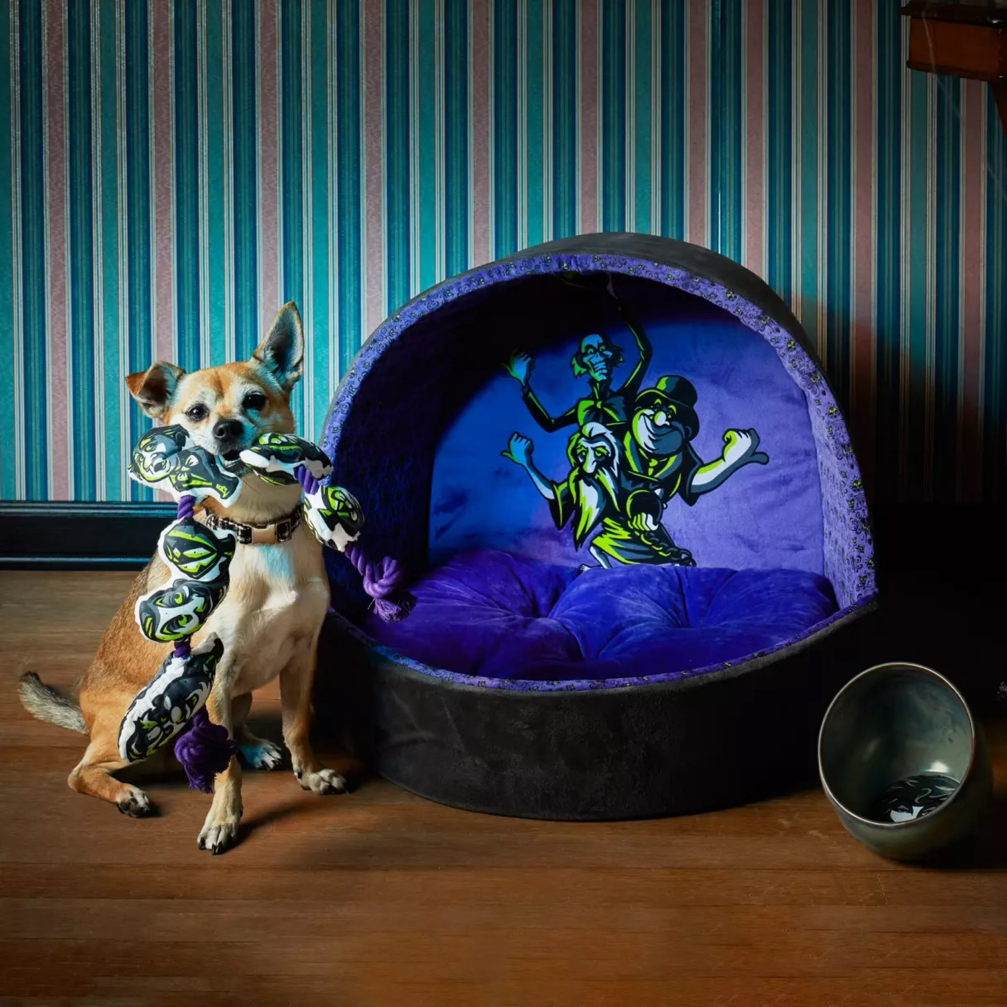 🐾👻 Treat your furry friend to the spookiest Halloween yet with Disney’s Haunted Mansion dog bed and costumes! 🎃🖤 From haunted hideaways to ghostly outfits, your pup will be ready for trick-or-treating in style. Shop now for a howling good time! #HauntedMansionPets #HalloweenForDogs #SpookyPup

#LTKFindsUnder50 #LTKSeasonal