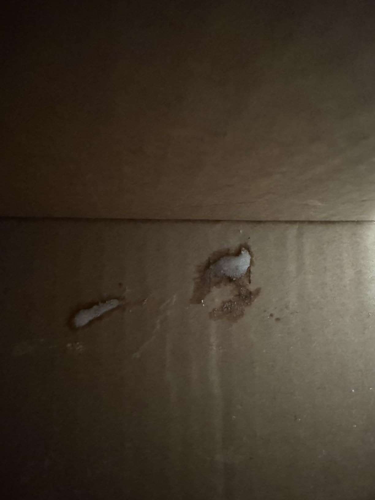 Tree Hut Sunshine Sorbet Shea Sugar Scrub, Exfoliating Body Scrub Removes Dead, Dry Skin for a So... | Amazon (US)