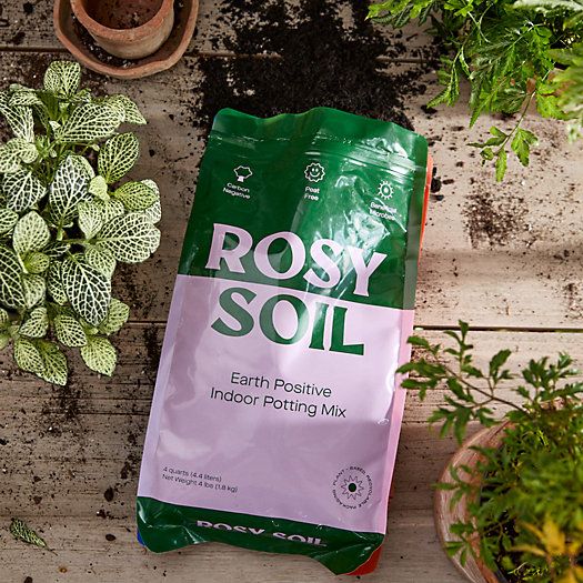 Rosy Soil Earth Positive Indoor Potting Mix | Terrain