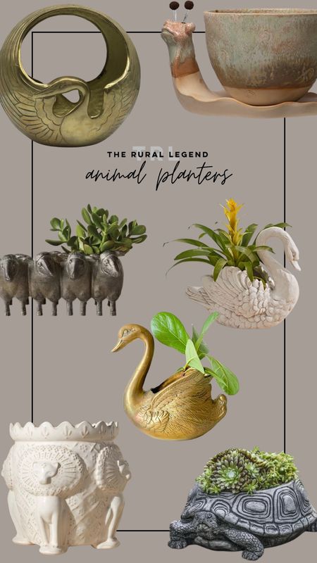 Fun quirky unique planter pots shaped like animals
Perfect for shelf styling, kids bedrooms, nursery, outdoor

#LTKGiftGuide #LTKhome #LTKFind