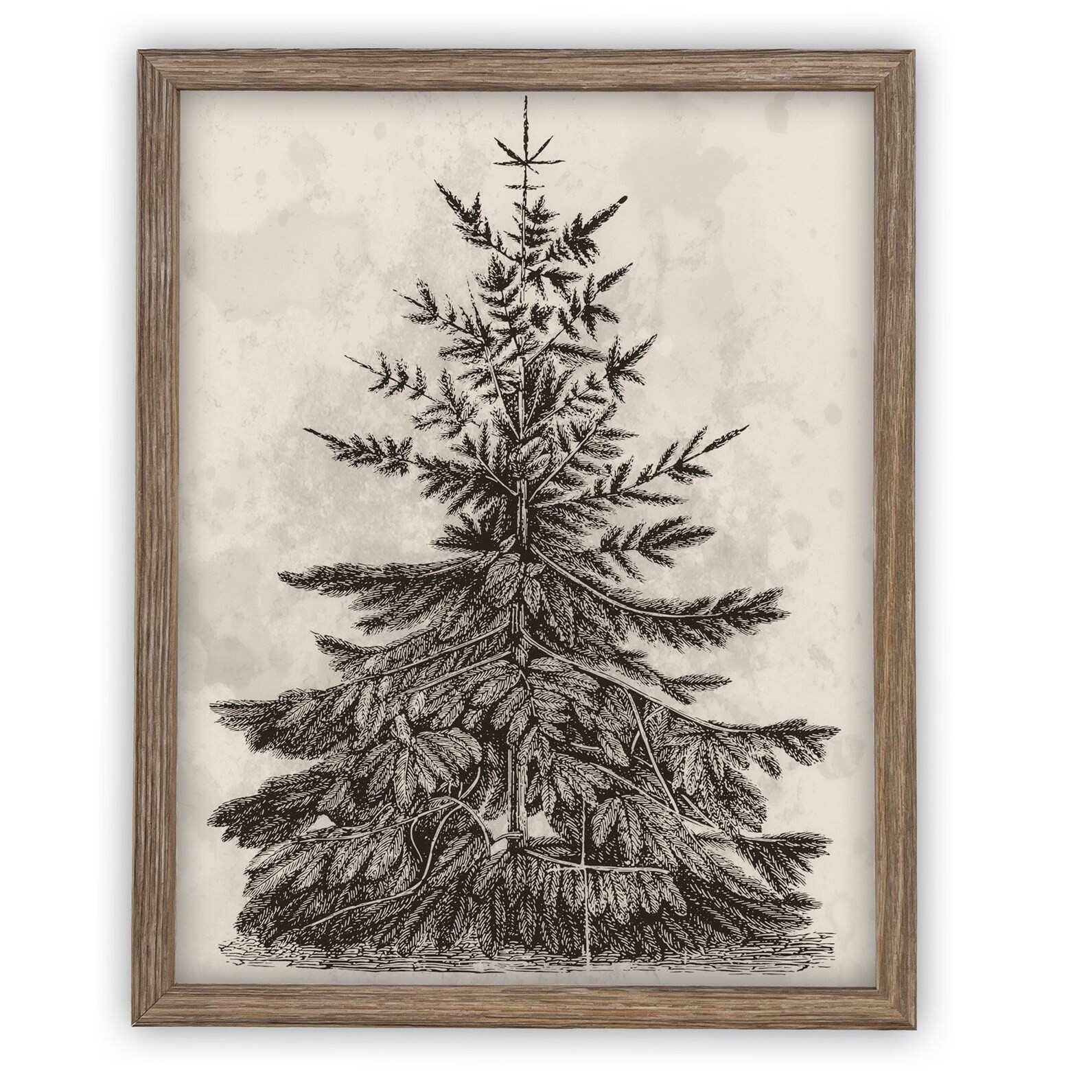 Framed Vintage Christmas Tree Sketch Print: Farmhouse Canvas Art | Etsy (US)