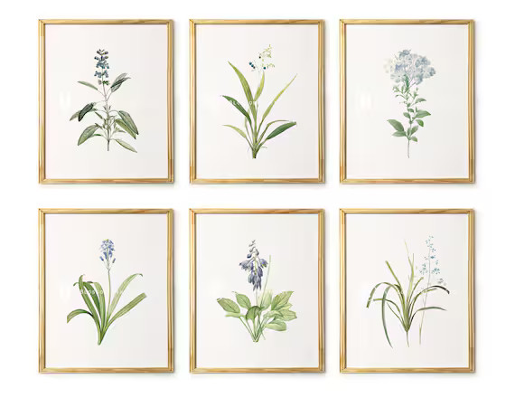 Blue Flowers Prints Botanical Print Set of 6 Prints Vintage Botanical Illustration, Wall Art Prin... | Etsy (US)