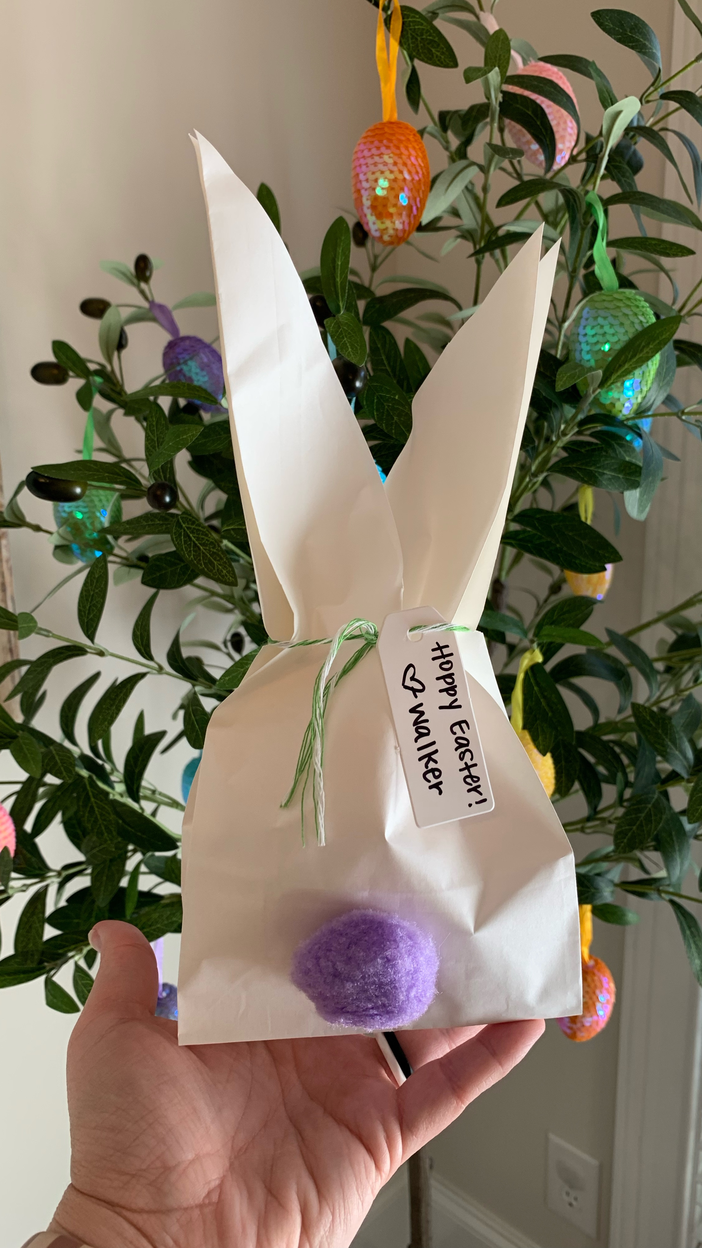 Hoppy Easter from the cutest little bunny goody bag around! 🐰💜🐰

I knew I wanted to do a cute bunny bag for my son’s preschool class, so I was SO excited to find these premade bunny bags for @dollargeneral I mean, they are absolutely perfect & only $3 for 8 bunny bags plus tag & twine. Plus, they saved me time & my fingers from getting hot glued together 😆 🎉

I usually go “extra” but this time I wanted this treat to be simple, easy & affordable. 

🐰💜🐰

Here’s what I put in these cuties: 

•Homemade bunny popcorn mix in colored snack baggies
——homemade popcorn mix: popcorn, flower marshmallows, pastel rainbow marshmallows & spring M&Ms..yummy! 

•Mini playdoh 
•Prayer jellybean pack 
•mini Easter chick or Easter bunny bubbles 

🐰FOLLOW for more simple holiday ideas


#LTKKids #LTKSeasonal #LTKParties