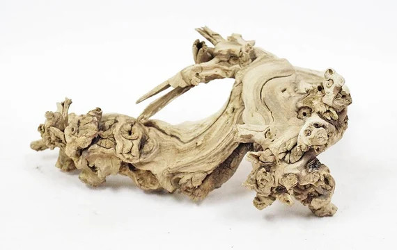 Exotic Burl for Terrairums Reptiles Aquariums 12 inches | Etsy | Etsy (US)