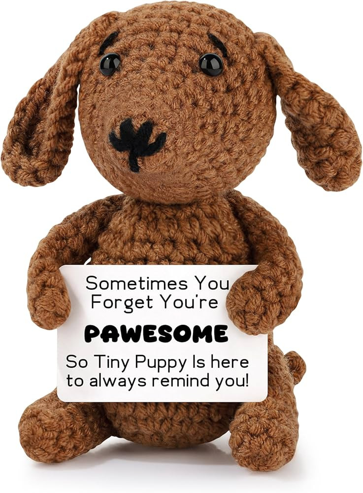 JoycuFF Dachshund Gifts for Women, Positive Crochet Animals Emotional Support Gifts for Dachshund... | Amazon (US)