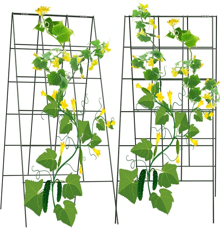 AGTEK 2 Packs 18" x 46" Foldable Cucumber Trellis with Zip Ties Plant Support A Frame Metal Trell... | Amazon (US)