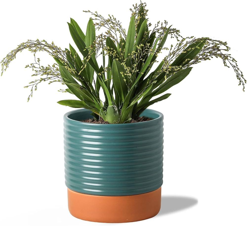 Self Watering Plant Pot : 8 Inch Ceramic Planter with Drainage Hole & Water Storage Plus - Flower... | Amazon (US)