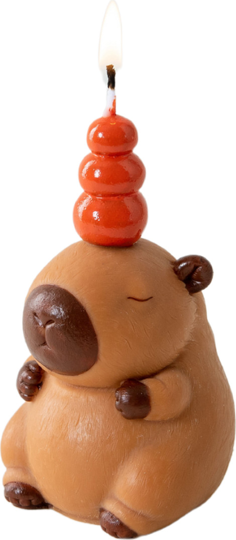 Southlake gifts Capybara Scented Aromatherapy Candle | Nordstrom | Nordstrom